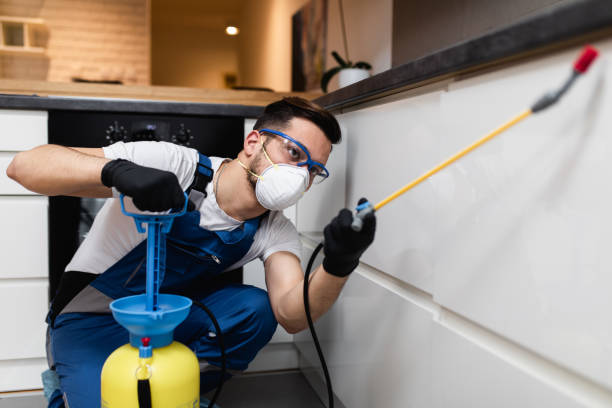 Best Pest Control for Homes  in Browntown, PA