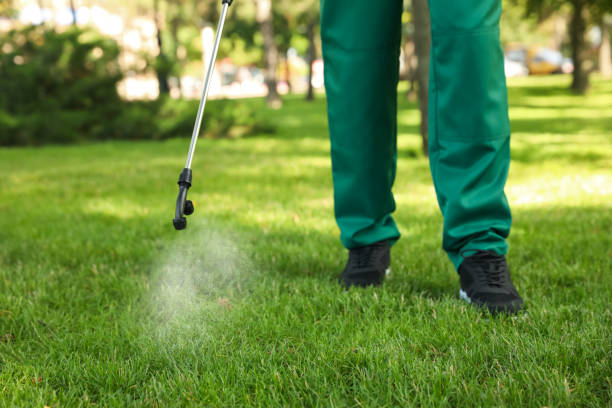 Best Pest Removal Services  in Browntown, PA