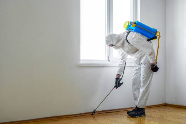 Best Termite Control Services  in Browntown, PA