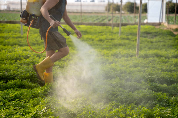 Best Ant Control Services  in Browntown, PA