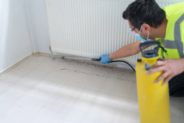 Best Pest Inspection Near Me  in Browntown, PA